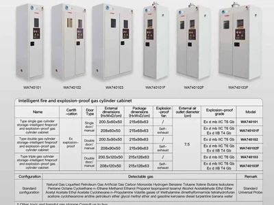 Armaris de cilindres de gas a prova d'explosió de foc intel·ligent Sysbel